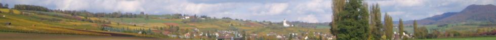 header-hallau.jpg